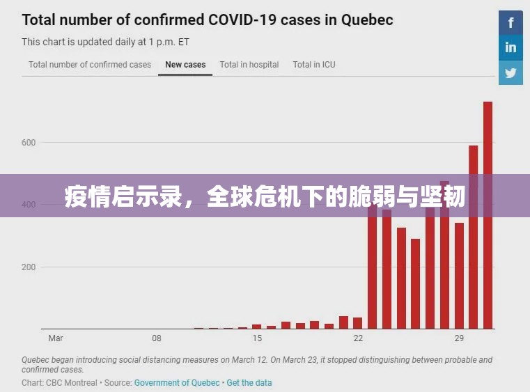 疫情启示录，全球危机下的脆弱与坚韧