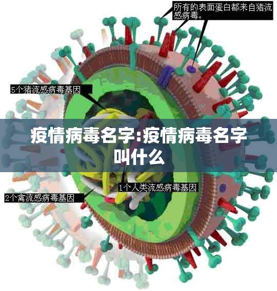疫情病毒名字:疫情病毒名字叫什么