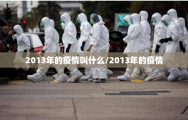 2013年的疫情叫什么/2013年的疫情