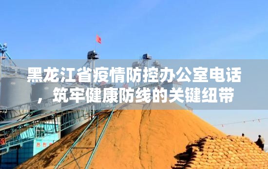 黑龙江省疫情防控办公室电话，筑牢健康防线的关键纽带