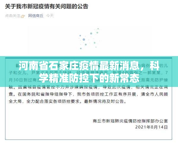 河南省石家庄疫情最新消息，科学精准防控下的新常态