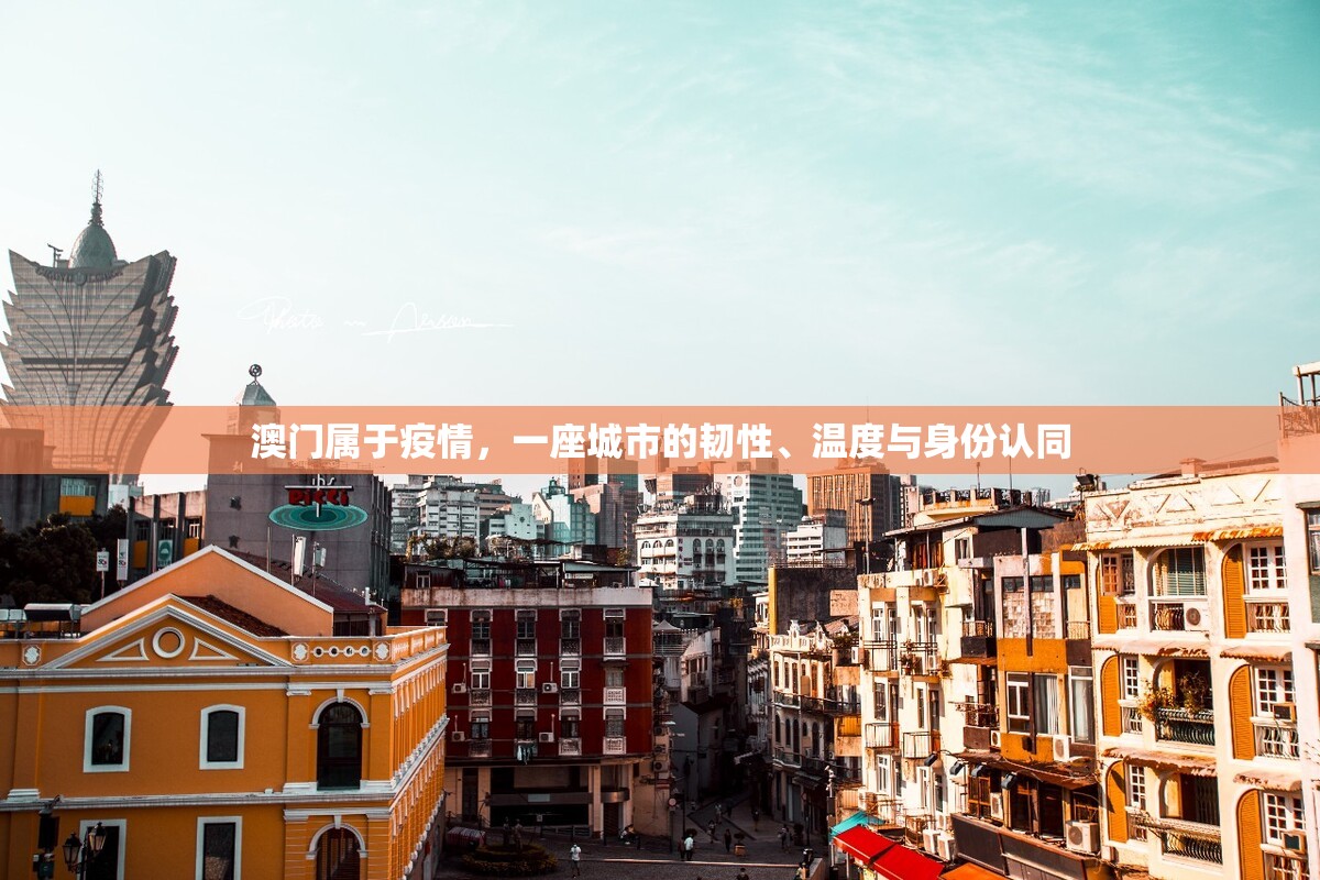 澳门属于疫情，一座城市的韧性、温度与身份认同