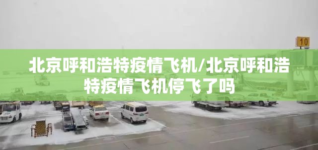 北京呼和浩特疫情飞机/北京呼和浩特疫情飞机停飞了吗